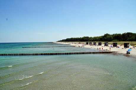 zingst