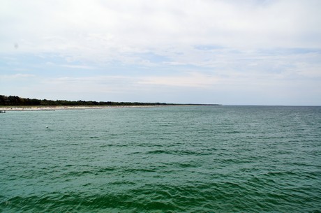 zingst