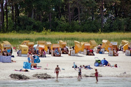 zingst