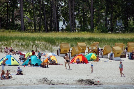 zingst