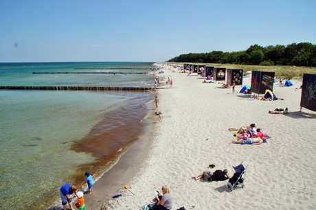 zingst