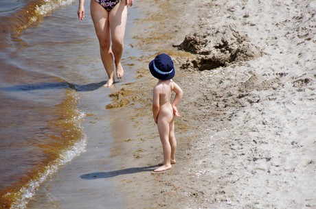 zingst