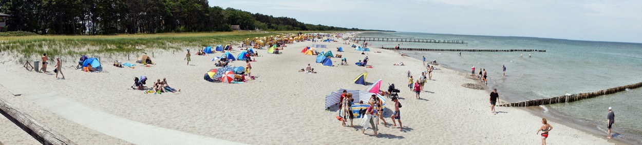 Zingst