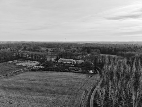 bilder