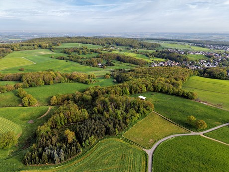 bilder