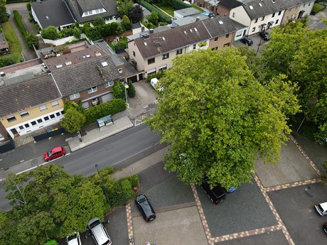 Bergheim