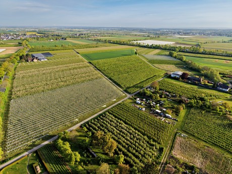 bilder