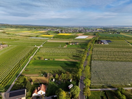 bilder