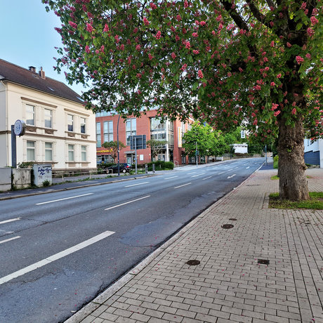 bilder