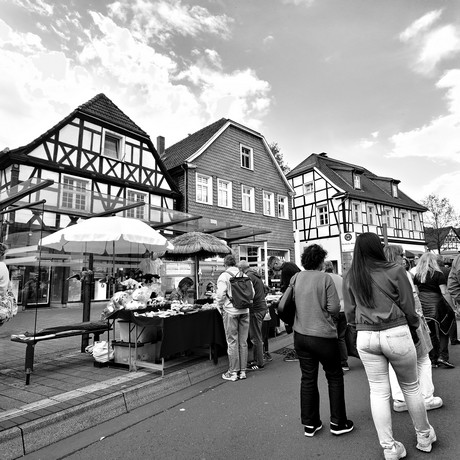 bilder