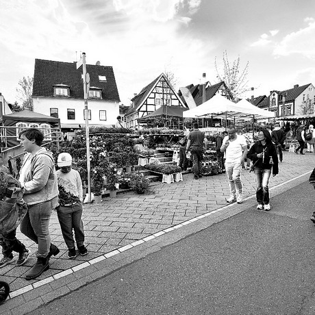 bilder