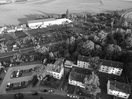 Kalscheuren