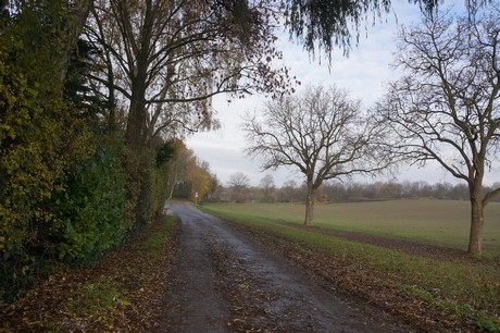 millendorf
