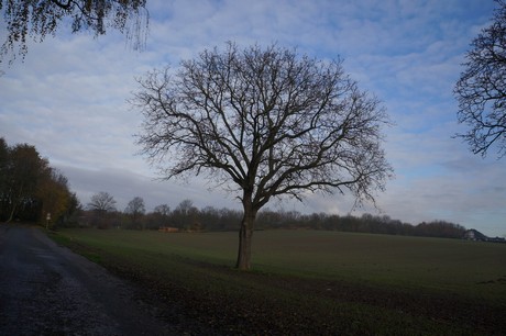 millendorf