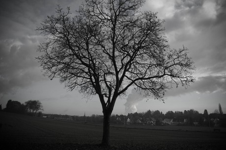 millendorf