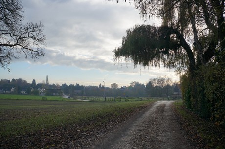 millendorf