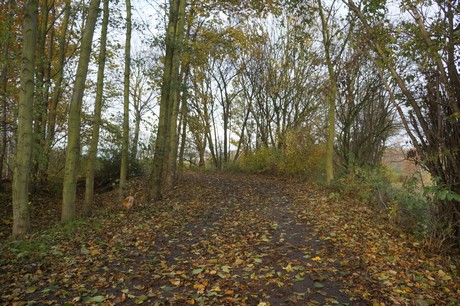 millendorf