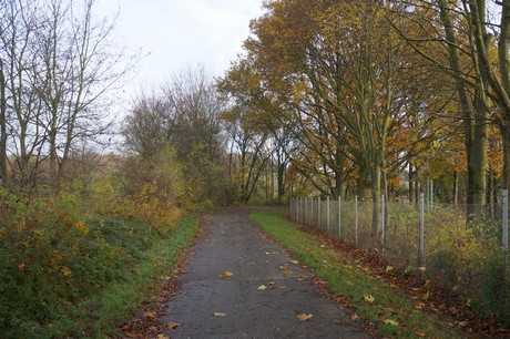 millendorf