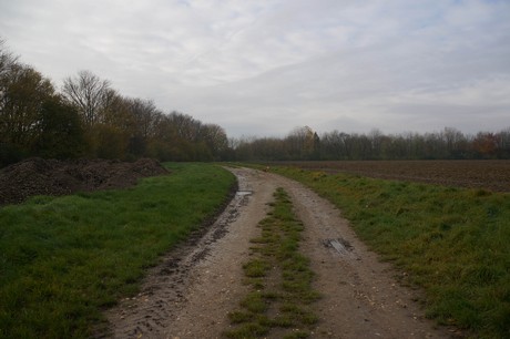 millendorf