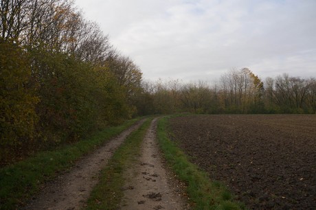 millendorf