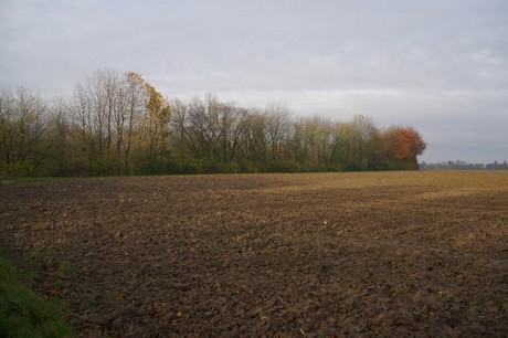 millendorf