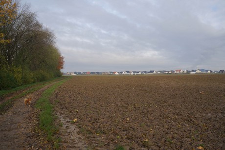 millendorf