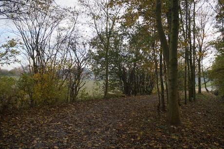 millendorf