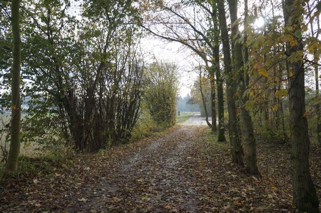 millendorf