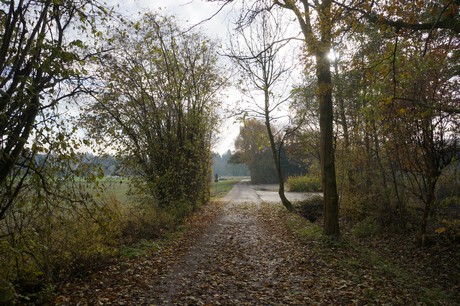 millendorf