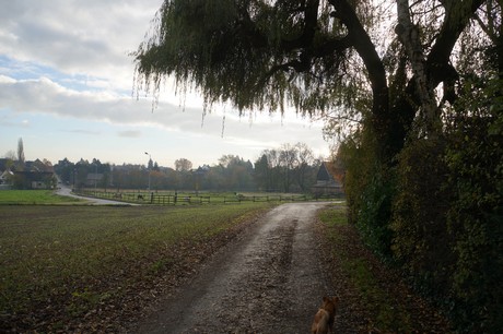millendorf