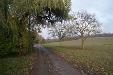millendorf