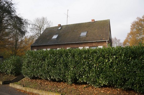 millendorf