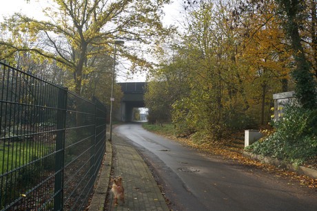 millendorf