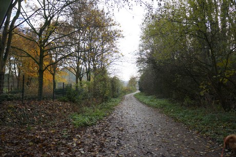 millendorf