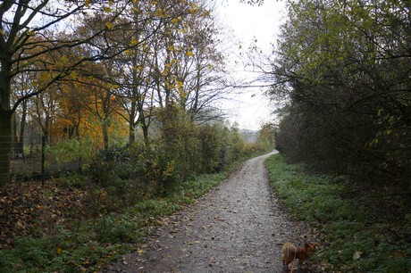 millendorf