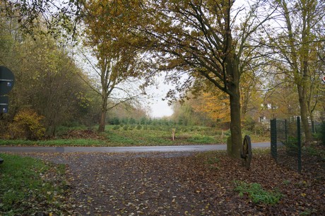 millendorf