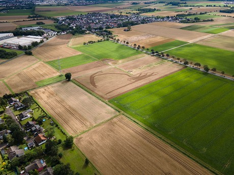 Niederdrees
