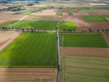 Niederdrees