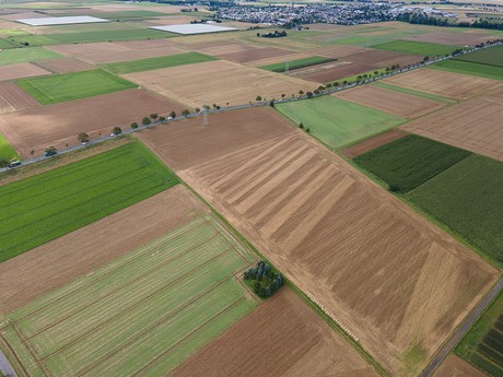 Niederdrees