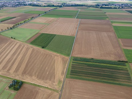 Niederdrees